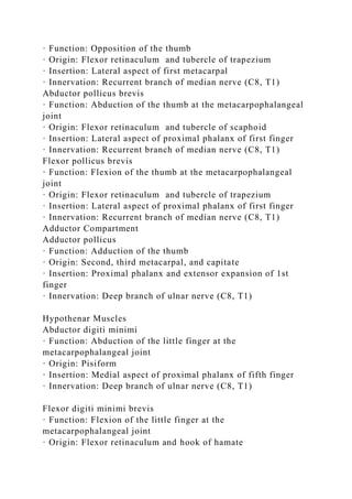 · Function: Opposition of the thumb
· Origin: Flexor retinaculum and tubercle of trapezium
· Insertion: Lateral aspect of first metacarpal
· Innervation: Recurrent branch of median nerve (C8, T1)
Abductor pollicus brevis
· Function: Abduction of the thumb at the metacarpophalangeal
joint
· Origin: Flexor retinaculum and tubercle of scaphoid
· Insertion: Lateral aspect of proximal phalanx of first finger
· Innervation: Recurrent branch of median nerve (C8, T1)
Flexor pollicus brevis
· Function: Flexion of the thumb at the metacarpophalangeal
joint
· Origin: Flexor retinaculum and tubercle of trapezium
· Insertion: Lateral aspect of proximal phalanx of first finger
· Innervation: Recurrent branch of median nerve (C8, T1)
Adductor Compartment
Adductor pollicus
· Function: Adduction of the thumb
· Origin: Second, third metacarpal, and capitate
· Insertion: Proximal phalanx and extensor expansion of 1st
finger
· Innervation: Deep branch of ulnar nerve (C8, T1)
Hypothenar Muscles
Abductor digiti minimi
· Function: Abduction of the little finger at the
metacarpophalangeal joint
· Origin: Pisiform
· Insertion: Medial aspect of proximal phalanx of fifth finger
· Innervation: Deep branch of ulnar nerve (C8, T1)
Flexor digiti minimi brevis
· Function: Flexion of the little finger at the
metacarpophalangeal joint
· Origin: Flexor retinaculum and hook of hamate
 