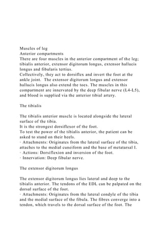Muscles of leg
Anterior compartments
There are four muscles in the anterior compartment of the leg;
tibialis anterior, extensor digitorum longus, extensor hallucis
longus and fibularis tertius.
Collectively, they act to dorsiflex and invert the foot at the
ankle joint. The extensor digitorum longus and extensor
hallucis longus also extend the toes. The muscles in this
compartment are innervated by the deep fibular nerve (L4-L5),
and blood is supplied via the anterior tibial artery.
The tibialis
The tibialis anterior muscle is located alongside the lateral
surface of the tibia.
It is the strongest dorsiflexor of the foot.
To test the power of the tibialis anterior, the patient can be
asked to stand on their heels.
· Attachments: Originates from the lateral surface of the tibia,
attaches to the medial cuneiform and the base of metatarsal I.
· Actions: Dorsiflexion and inversion of the foot.
· Innervation: Deep fibular nerve.
The extensor digitorum longus
The extensor digitorum longus lies lateral and deep to the
tibialis anterior. The tendons of the EDL can be palpated on the
dorsal surface of the foot.
· Attachments: Originates from the lateral condyle of the tibia
and the medial surface of the fibula. The fibres converge into a
tendon, which travels to the dorsal surface of the foot. The
 