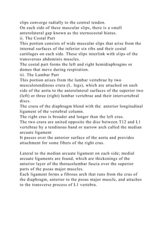 slips converge radially to the central tendon.
On each side of these muscular slips, there is a small
anterolateral gap known as the sternocostal hiatus.
ii. The Costal Part
This portion consists of wide muscular slips that arise from the
internal surfaces of the inferior six ribs and their costal
cartilages on each side. These slips interlink with slips of the
transversus abdominis muscles.
The costal part forms the left and right hemidiaphragms or
domes that move during respiration.
iii. The Lumbar Part
This portion arises from the lumbar vertebrae by two
musculotendinous crura (L. legs), which are attached on each
side of the aorta to the anterolateral surfaces of the superior two
(left) or three (right) lumbar vertebrae and their intervertebral
discs.
The crura of the diaphragm blend with the anterior longitudinal
ligament of the vertebral column.
The right crus is broader and longer than the left crus.
The two crura are united opposite the disc between T12 and L1
vertebrae by a tendinous band or narrow arch called the median
arcuate ligament
It passes over the anterior surface of the aorta and provides
attachment for some fibers of the right crus.
Lateral to the median arcuate ligament on each side; medial
arcuate ligaments are found, which are thickenings of the
anterior layer of the thoracolumbar fascia over the superior
parts of the psoas major muscles.
Each ligament forms a fibrous arch that runs from the crus of
the diaphragm, anterior to the psoas major muscle, and attaches
to the transverse process of L1 vertebra.
 