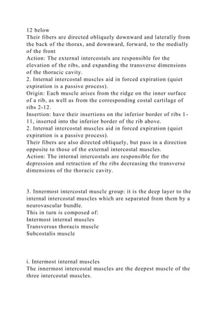 12 below
Their fibers are directed obliquely downward and laterally from
the back of the thorax, and downward, forward, to the medially
of the front
Action: The external intercostals are responsible for the
elevation of the ribs, and expanding the transverse dimensions
of the thoracic cavity.
2. Internal intercostal muscles aid in forced expiration (quiet
expiration is a passive process).
Origin: Each muscle arises from the ridge on the inner surface
of a rib, as well as from the corresponding costal cartilage of
ribs 2-12.
Insertion: have their insertions on the inferior border of ribs 1-
11, inserted into the inferior border of the rib above.
2. Internal intercostal muscles aid in forced expiration (quiet
expiration is a passive process).
Their fibers are also directed obliquely, but pass in a direction
opposite to those of the external intercostal muscles.
Action: The internal intercostals are responsible for the
depression and retraction of the ribs decreasing the transverse
dimensions of the thoracic cavity.
3. Innermost intercostal muscle group: it is the deep layer to the
internal intercostal muscles which are separated from them by a
neurovascular bundle.
This in turn is composed of:
Intermost internal muscles
Transversus thoracis muscle
Subcostalis muscle
i. Intermost internal muscles
The innermost intercostal muscles are the deepest muscle of the
three intercostal muscles.
 