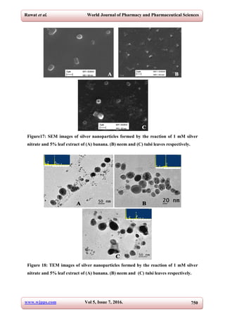 Green Synthesis of Silver Nanoparticles and their applications | PDF