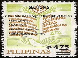 Organized and unorganized