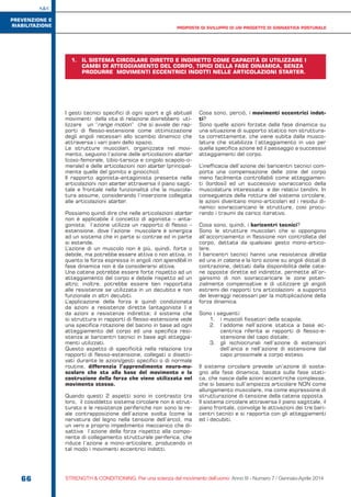 S&C
66 STRENGTH & CONDITIONING. Per una scienza del movimento dell’uomo Anno III - Numero 7 / Gennaio-Aprile 2014
I gesti tecnici specifici di ogni sport e gli abituali
movimenti della vita di relazione dovrebbero uti-
lizzare un ”range motion” che si avvale dei rap-
porti di flesso-estensione come ottimizzazione
degli angoli necessari allo scambio dinamico che
attraversa i vari piani dello spazio.
Le strutture muscolari, organizzate nel movi-
mento, seguono l’azione delle articolazioni starter
(coxo-femorale, tibio-tarsica e cingolo scapolo-o-
merale) e delle articolazioni non starter (principal-
mente quelle del gomito e ginocchio).
Il rapporto agonista–antagonista presente nelle
articolazioni non starter attraversa il piano sagit-
tale e frontale nella funzionalità che la muscola-
tura assume, considerando l’inserzione collegata
alle articolazioni starter.
Possiamo quindi dire che nelle articolazioni starter
non è applicabile il concetto di agonista – anta-
gonista; l’azione utilizza un rapporto di flesso –
estensione, dove l’azione muscolare è sinergica
ad un sistema che in parte si contrae ed in parte
si estende.
L’azione di un muscolo non è più, quindi, forte o
debole, ma potrebbe essere attiva o non attiva, in
quanto la forza espressa in angoli non spendibili in
fase dinamica non è da considerarsi attiva.
Una catena potrebbe essere forte rispetto ad un
atteggiamento del corpo e debole rispetto ad un
altro; inoltre, potrebbe essere ben rapportata
alle resistenze se utilizzata in un decubito e non
funzionale in altri decubiti.
L’applicazione della forza è quindi condizionata
da azioni a resistenze dirette (antagoniste ) e
da azioni a resistenze indirette; il sistema che
si struttura in rapporti di flesso-estensione vede
una specifica rotazione del bacino in base ad ogni
atteggiamento del corpo ed una specifica resi-
stenza ai baricentri tecnici in base agli atteggia-
menti utilizzati.
Questo aspetto di specificità nella relazione tra
rapporti di flesso-estensione, collegati o disatti-
vati durante le azioni/gesti specifici o di normale
routine, differenzia l’apprendimento neuro-mu-
scolare che sta alla base del movimento e la
costruzione della forza che viene utilizzata nel
movimento stesso.
Quando questi 2 aspetti sono in contrasto tra
loro, il cosiddetto sistema circolare non è strut-
turato e le resistenze periferiche non sono la re-
ale contrapposizione dell’azione svolta (come la
nervatura del legno nella tensione dell’arco), ma
un vero e proprio impedimento meccanico che di-
sattiva l’azione della forza rispetto alla compo-
nente di collegamento strutturale periferica, che
riduce l’azione a mono-articolare, producendo in
tal modo i movimenti eccentrici indotti.
Cosa sono, perciò, i movimenti eccentrici indot-
ti?
Sono quelle azioni forzate dalla fase dinamica su
una situazione di supporto statico non struttura-
ta correttamente, che viene subìta dalla musco-
latura che stabilizza l’atteggiamento in uso per
quella specifica azione ed il passaggio a successivi
atteggiamenti del corpo.
L’inefficacia dell’azione dei baricentri tecnici com-
porta una compensazione delle zone del corpo
meno facilmente controllabili come atteggiamen-
ti (lordosi) ed un successivo sovraccarico della
muscolatura interessata e dei relativi tendini. In
conseguenza della rottura del sistema circolare,
le azioni diventano mono-articolari ed i residui di-
namici sovraccaricano le strutture, così procu-
rando i traumi da carico iterativo.
Cosa sono, quindi, i baricentri tecnici?
Sono le strutture muscolari che si oppongono
all’accorciamento in flessione non controllata del
corpo, dettata da qualsiasi gesto mono-artico-
lare.
I baricentri tecnici hanno una resistenza diretta
ed una in catena e la loro azione su angoli distali di
contrazione, dettati dalla disponibilità delle cate-
ne opposte dirette ed indirette, permette all’or-
ganismo di non sovraccaricare le zone poten-
zialmente compensative e di utilizzare gli angoli
estremi dei rapporti tra articolazioni a supporto
dei leveraggi necessari per la moltiplicazione della
forza dinamica.
Sono i seguenti:
1.	 i muscoli fissatori della scapola;
2.	 l’addome nell’azione statica a base ec-
centrica riferita ai rapporti di flesso-e-
stensione del capo distale;
3.	 gli ischiocrurali nell’azione di estensori
dell’anca e nell’azione di estensione dal
capo prossimale a corpo esteso.
Il sistema circolare prevede un’azione di soste-
gno alla fase dinamica, basata sulla fase stati-
ca, che nasce dalle azioni eccentriche complesse,
che si basano sull’ampiezza articolare NON come
allungamento muscolare, ma come espressione di
strutturazione di tensione della catena opposta.
Il sistema circolare attraversa il piano sagittale, il
piano frontale, coinvolge le attivazioni dei tre bari-
centri tecnici e si rapporta con gli atteggiamenti
ed i decubiti.
PROPOSTA DI SVILUPPO DI UN PROGETTO DI GINNASTICA POSTURALE
PREVENZIONE E
RIABILITAZIONE
1.	 IL SISTEMA CIRCOLARE DIRETTO E INDIRETTO COME CAPACITÀ DI UTILIZZARE I
CAMBI DI ATTEGGIAMENTO DEL CORPO, TIPICI DELLA FASE DINAMICA, SENZA
PRODURRE MOVIMENTI ECCENTRICI INDOTTI NELLE ARTICOLAZIONI STARTER.
 