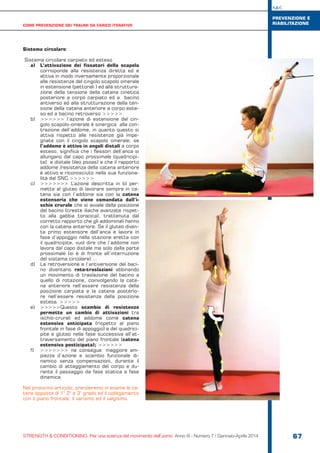 S&C
STRENGTH & CONDITIONING. Per una scienza del movimento dell’uomo Anno III - Numero 7 / Gennaio-Aprile 2014 67
Sistema circolare:
Sistema circolare carpiato ed esteso
a)	 L’attivazione dei fissatori della scapola
corrisponde alla resistenza diretta ed è
attiva in modo inversamente proporzionale
alle resistenze del cingolo scapolo omerale
in estensione (pettorali ) ed alla struttura-
zione della tensione della catena cinetica
posteriore a corpo carpiato ed a bacino
antiverso ed alla strutturazione della ten-
sione della catena anteriore a corpo este-
so ed a bacino retroverso >>>>>
b)	 >>>>>> l’azione di estensione del cin-
golo scapolo-omerale è sinergica alla con-
trazione dell’addome, in quanto questo si
attiva rispetto alle resistenze già impe-
gnate con il cingolo scapolo omerale; se
l’addome è attivo in angoli distali a corpo
esteso, significa che i flessori dell’anca si
allungano dal capo prossimale (quadricipi-
te) e distale (ileo psoas) e che il rapporto
addome /resistenza della catena anteriore
è attivo e riconosciuto nella sua funziona-
lità dal SNC.>>>>>>
c)	 >>>>>>> L’azione descritta in b) per-
mette al gluteo di lavorare sempre in ca-
tena sia con l’addome sia con la catena
estensoria che viene comandata dall’i-
schio crurale che si avvale della posizione
del bacino (creste iliache avanzate rispet-
to alla gabbia toracica), trattenuta dal
corretto rapporto che gli addominali hanno
con la catena anteriore. Se il gluteo diven-
ta primo estensore dell’anca e lavora in
fase d’appoggio nella stazione eretta con
il quadricipite, vuol dire che l’addome non
lavora dal capo distale ma solo dalla parte
prossimale (si è di fronte all’interruzione
del sistema circolare) …
d)	 La retroversione e l’antiversione del baci-
no diventano roto-traslazioni abbinando
un movimento di traslazione del bacino a
quello di rotazione, coinvolgendo la cate-
na anteriore nell’essere resistenza della
posizione carpiata e la catena posterio-
re nell’essere resistenza della posizione
estesa. >>>>>
e)	 >>>>>Questo scambio di resistenze
permette un cambio di attivazioni tra
ischio-crurali ed addome come catena
estensiva anticipata (rispetto al piano
frontale in fase di appoggio) e del quadrici-
pite e gluteo nella fase successiva all’at-
traversamento del piano frontale (catena
estensiva posticipata); >>>>>>
f)	 >>>>>>> ne consegue: maggiore am-
piezza d’azione e scambio funzionale di-
namico senza compensazioni, durante il
cambio di atteggiamento del corpo e du-
rante il passaggio da fase statica a fase
dinamica.
Nel prossimo articolo, prenderemo in esame le ca-
tene opposte di 1° 2° e 3° grado ed il collegamento
con il piano frontale: il varismo ed il valgismo.
COME PREVENZIONE DEI TRAUMI DA CARICO ITERATIVO
PREVENZIONE E
RIABILITAZIONE
 
