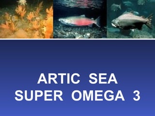 ARTIC SEA
SUPER OMEGA 3
 