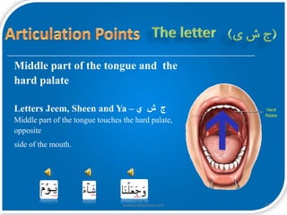 Palatal Letters articualtion points of Quranic letters.pdf