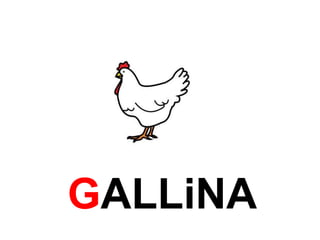 GALLiNA 
 