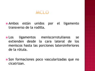 MClOAmbos están unidos por el ligamento transverso de la rodilla.Los ligamentos meniscorrotulianos se extienden desde la cara lateral de los meniscos hasta las porciones lateroinferiores de la rótula.Son formaciones poco vascularizadas que no cicatrizan.