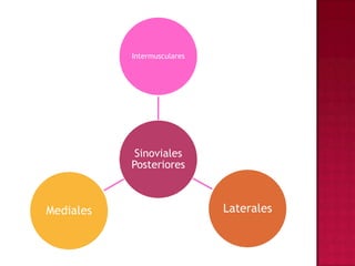 ArticulacióN De La Rodilla