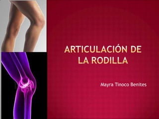 Articulación de la rodilla Mayra Tinoco Benites 