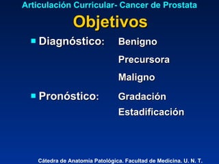 Diagnóstico :  Benigno Precursora Maligno Pronóstico :  Gradación  Estadificación Articulación Curricular- Cancer de Prostata Objetivos Cátedra de Anatomía Patológica. Facultad de Medicina. U. N. T. 