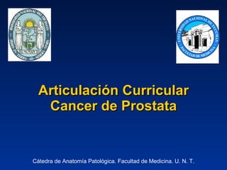 Articulación Curricular Cancer de Prostata Cátedra de Anatomía Patológica. Facultad de Medicina. U. N. T. 