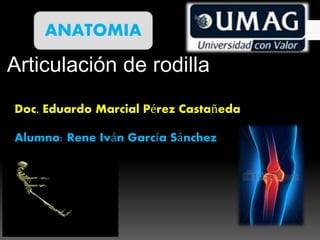 Articulación de rodilla
Doc. Eduardo Marcial Pérez Castañeda
ANATOMIA
Alumno: Rene Iván García Sánchez
 