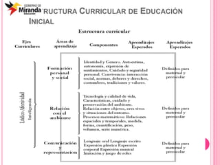 ESTRUCTURA CURRICULAR DE EDUCACIÓN
INICIAL
Inteligencia
 