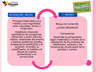 Procesos Matemáticos (La
medida y sus magnitudes:
peso, capacidad, tiempo y
longitudes).
Establecer relaciones
cuantitativas de semejanzas,
diferencias y orden entre los
objetos, situaciones del entorno
y resolver problemas simples,
empleando la clasificación y la
seriación, el conteo, la
cuantificación, la medida y el
tiempo de manera
convencional o no
convencional.
Bloque de Contenido:
¿CÓMO MEDIMOS?
Competencia:
Desarrolla el pensamiento
lógico matemático a través de la
adquisición de los procesos de
clasificación, seriación y las
nociones de conservación de la
cantidad y número.
EDUCACIÓN INICIAL 1° GRADO
 