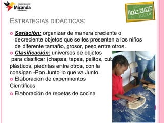  Seriación: organizar de manera creciente o
decreciente objetos que se les presenten a los niños
de diferente tamaño, grosor, peso entre otros.
 Clasificación: universos de objetos
para clasificar (chapas, tapas, palitos, cubiertos
plásticos, piedritas entre otros, con la
consigan -Pon Junto lo que va Junto.
 Elaboración de experimentos
Científicos
 Elaboración de recetas de cocina
ESTRATEGIAS DIDÁCTICAS:
 