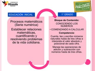Procesos matemáticos
(Serie numérica)
Establecer relaciones
matemáticas,
cuantificando y
resolviendo problemas
de la vida cotidiana.
Bloque de Contenido:
CONOCIENDO LOS
NÚMEROS
• COMENZANDO A CALCULAR
Competencia:
Cuenta, lee y escribe números
naturales hasta de tres cifras e
interpreta el valor absoluto y
posicional de cada cifra.
Maneja las operaciones de
adición y sustracción con
números hasta de tres cifras.
EDUCACIÓN INICIAL 1° GRADO
 