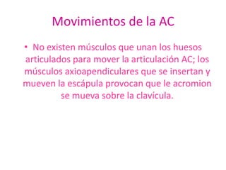 Movimientos de la AC
• No existen músculos que unan los huesos
articulados para mover la articulación AC; los
músculos axioapendiculares que se insertan y
mueven la escápula provocan que le acromion
         se mueva sobre la clavícula.
 