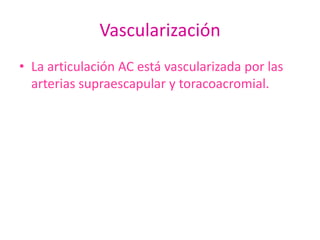Vascularización
• La articulación AC está vascularizada por las
  arterias supraescapular y toracoacromial.
 