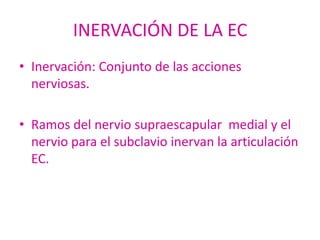 INERVACIÓN DE LA EC
• Inervación: Conjunto de las acciones
  nerviosas.

• Ramos del nervio supraescapular medial y el
  nervio para el subclavio inervan la articulación
  EC.
 