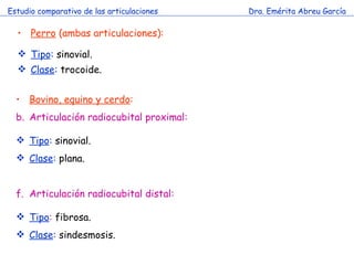 Estudio comparativo de las articulaciones Dra. Emérita Abreu García Perro  (ambas articulaciones): Tipo :  sinovial. Clase :  trocoide. Bovino, equino y cerdo : Articulación radiocubital proximal: Tipo :   sinovial. Clase :  plana. Articulación radiocubital distal: Tipo :  fibrosa. Clase :   sindesmosis. 