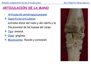 Estudio comparativo de las articulaciones Dra. Emérita Abreu García ARTICULACIÓN DE LA MANO Articulación antebraquiocarpiana :  Superficies articulares : extremo distal del radio y del cúbito y la fila proximal de los huesos del carpo. Tipo :  sinovial. Clase :  gínglimo. Movimientos :  flexión y extensión. 