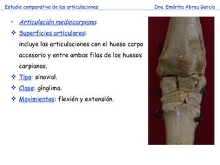 Estudio comparativo de las articulaciones Dra. Emérita Abreu García Articulación mediocarpiana : Superficies articulares : incluye las articulaciones con el hueso carpo accesorio y entre ambas filas de los huesos carpianos.  Tipo :  sinovial. Clase :  gínglimo. Movimientos : flexión y extensión. 