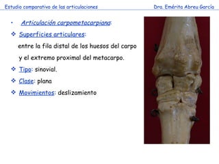 Estudio comparativo de las articulaciones Dra. Emérita Abreu García Articulación carpometacarpiana : Superficies articulares : entre la fila distal de los huesos del carpo y el extremo proximal del metacarpo.  Tipo :  sinovial. Clase :  plana Movimientos :  deslizamiento  