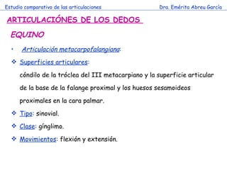 Estudio comparativo de las articulaciones Dra. Emérita Abreu García ARTICULACIÓNES DE LOS DEDOS  Articulación metacarpofalangiana :  Superficies articulares : cóndilo de la tróclea del III metacarpiano y la superficie articular de la base de la falange proximal y los huesos sesamoideos proximales en la cara palmar. Tipo :  sinovial. Clase :  gínglimo. Movimientos :  flexión y extensión. EQUINO 