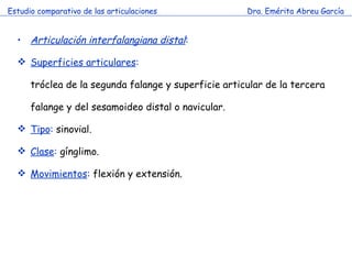 Estudio comparativo de las articulaciones Dra. Emérita Abreu García Articulación interfalangiana distal :  Superficies articulares : tróclea de la segunda falange y superficie articular de la tercera falange y del sesamoideo distal o navicular. Tipo :  sinovial. Clase :  gínglimo. Movimientos :  flexión y extensión. 