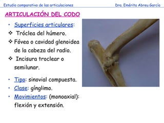 Estudio comparativo de las articulaciones Dra. Emérita Abreu García ARTICULACIÓN DEL CODO Superficies articulares : Tróclea del húmero. Fóvea o cavidad glenoidea de la cabeza del radio. Incisura troclear o semilunar. Tipo :  sinovial compuesta. Clase :  gínglimo. Movimientos :  (monoaxial): flexión y extensión. 