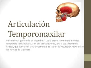 Articulación
 Temporomaxilar
Pertenece al genero de las bicondileas .Es la articulación entre el hueso
temporal y la mandíbula. Son dos articulaciones, una a cada lado de la
cabeza, que funcionan sincrónicamente. Es la única articulación móvil entre
los huesos de la cabeza
 