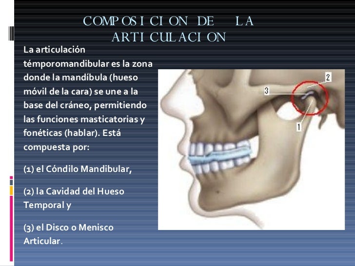 Articulacion Temporomandibular