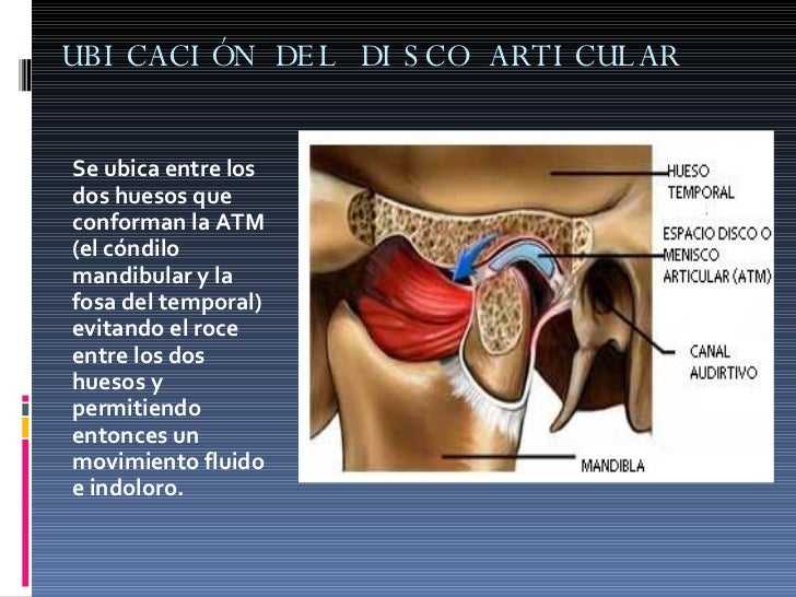 Articulacion Temporomandibular