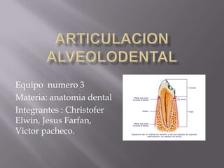 Equipo numero 3
Materia: anatomia dental
Integrantes : Christofer
Elwin, Jesus Farfan,
Victor pacheco.
 
