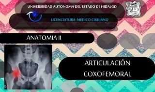 UNIVERSISDAD AUTONOMA DEL ESTADO DE HIDALGO
LICENCIATURA MÉDICO CIRUJANO
ANATOMIA II
ARTICULACIÓN
COXOFEMORAL
 