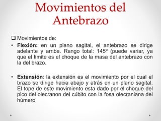 Movimientos del
Antebrazo
 Movimientos de:
• Flexión: en un plano sagital, el antebrazo se dirige
adelante y arriba. Rango total: 145º (puede variar, ya
que el límite es el choque de la masa del antebrazo con
la del brazo.
• Extensión: la extensión es el movimiento por el cual el
brazo se dirige hacia abajo y atrás en un plano sagital.
El tope de este movimiento esta dado por el choque del
pico del olecranon del cúbito con la fosa olecraniana del
húmero
 