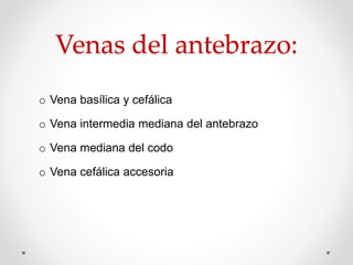 Venas del antebrazo:
o Vena basílica y cefálica
o Vena intermedia mediana del antebrazo
o Vena mediana del codo
o Vena cefálica accesoria
 