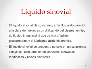 Líquido sinovial
• El líquido sinovial claro, viscoso, amarillo pálido parecido
a la clara de huevo, es un dializando del plasma, un tipo
de líquido intersticial al que se han añadido
glucoproteína y el lubricante ácido hialurónico.
• El líquido sinovial se encuentra no sólo en articulaciones
sinoviales, sino también en las vainas sinoviales
tendinosas y bolsas sinoviales.
 