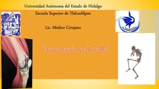 Universidad Autónoma del Estado de Hidalgo
Escuela Superior de Tlahuelilpan
Lic. Médico Cirujano
 
