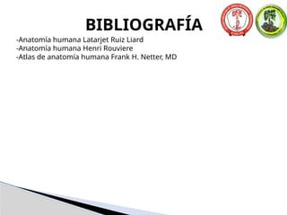 BIBLIOGRAFÍA
-Anatomía humana Latarjet Ruiz Liard
-Anatomía humana Henri Rouviere
-Atlas de anatomía humana Frank H. Netter, MD
 