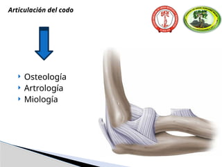  Osteología
 Artrología
 Miología
Articulación del codo
 