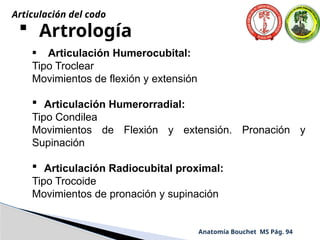  Artrología
• Articulación Humerocubital:
Tipo Troclear
Movimientos de flexión y extensión
 Articulación Humerorradial:
Tipo Condilea
Movimientos de Flexión y extensión. Pronación y
Supinación
 Articulación Radiocubital proximal:
Tipo Trocoide
Movimientos de pronación y supinación
Anatomía Bouchet MS Pág. 94
Articulación del codo
 