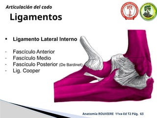 Ligamentos
• Ligamento Lateral Interno
- Fascículo Anterior
- Fascículo Medio
- Fascículo Posterior (De Bardinet)
- Lig. Cooper
Anatomía ROUVIERE 11va Ed T2 Pág. 63
Articulación del codo
 