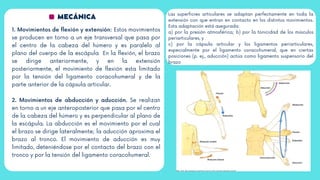 MECÁNICA
1. Movimientos de flexión y extensión: Estos movimientos
se producen en torno a un eje transversal que pasa por
el centro de la cabeza del húmero y es paralelo al
plano del cuerpo de la escápula En la flexión, el brazo
se dirige anteriormente, y en la extensión
posteriormente, el movimiento de flexión esta limitado
por la tensión del ligamento coracohumeral y de la
parte anterior de la cápsula articular.
2. Movimientos de abducción y aducción. Se realizan
en torno a un eje anteroposterior que pasa por el centro
de la cabeza del húmero y es perpendicular al plano de
la escápula. La abducción es el movimiento por el cual
el brazo se dirige lateralmente; la aducción aproxima el
brazo al tronco. El movimiento de aducción es muy
limitado, deteniéndose por el contacto del brazo con el
tronco y por la tensión del ligamento coracohumeral.
Las superficies articulares se adaptan perfectamente en toda la
extensión con que entran en contacto en los distintos movimientos.
Esta adaptación está asegurada:
a) por la presión atmosférica; b) por la tonicidad de los músculos
periarticulares, y
c) por la cápsula articular y los ligamentos periarticulares,
especialmente por el ligamento coracohumeral, que en ciertas
posiciones (p. ej., aducción) actúa como ligamento suspensorio del
brazo
 