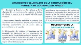 1. Elevación y descenso de la escápula y de la
clavícula. En este movimiento, la escápula se desliza
de inferior a superior o a la inversa sobre la pared
torácica.
2. Deslizamiento lateral o medial de la escápula. Este
movimiento va acompañado de una proyección de la
clavícula, anteriormente en el primer caso y
posteriormente en el segundo.
3. Movimientos de rotación o balanceo de la
escápula. Se denominan así los movimientos de
rotación en los cuales la escápula gira en torno a un
eje perpendicular al plano del hueso, que en el sujeto
vivo pasa más o menos cerca del ángulo superior o del
ángulo lateral de la escápula.
MOVIMIENTOS COMBINADOS DE LA ARTICULACIÓN DEL
HOMBRO Y DE LA CINTURA ESCAPULAR
Normalmente, los movimientos del hombro son
movimientos combinados de la articulación del
hombro y de la cintura escapular en su
conjunto. Los movimientos de la cintura
escapular susceptibles de combinarse con los
de la articulación del hombro son los siguientes
 