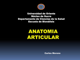 Universidad de Oriente
          Núcleo de Sucre
Departamento de Ciencias de la Salud
        Escuela de Bionálisis



       ANATOMIA
       ARTICULAR


                    Carlos Moreno
 