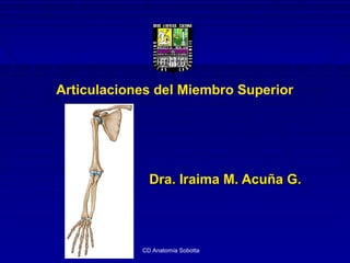 Articulaciones del Miembro Superior
Dra. Iraima M. Acuña G.Dra. Iraima M. Acuña G.
CD Anatomía Sobotta
 