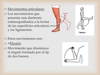  Movimientos articulares:
 Los movimientos que
presenta una diartrosis
estánsupeditados a la forma
de las superficies articulares
y los ligamentos.
 Estos movimientos son:
 •Flexión:
 Movimiento que disminuye
el ángulo formado por el eje
de dos huesos.
 