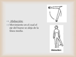  Abducción:
 Movimiento en el cual el
eje del hueso se aleja de la
línea media.
 